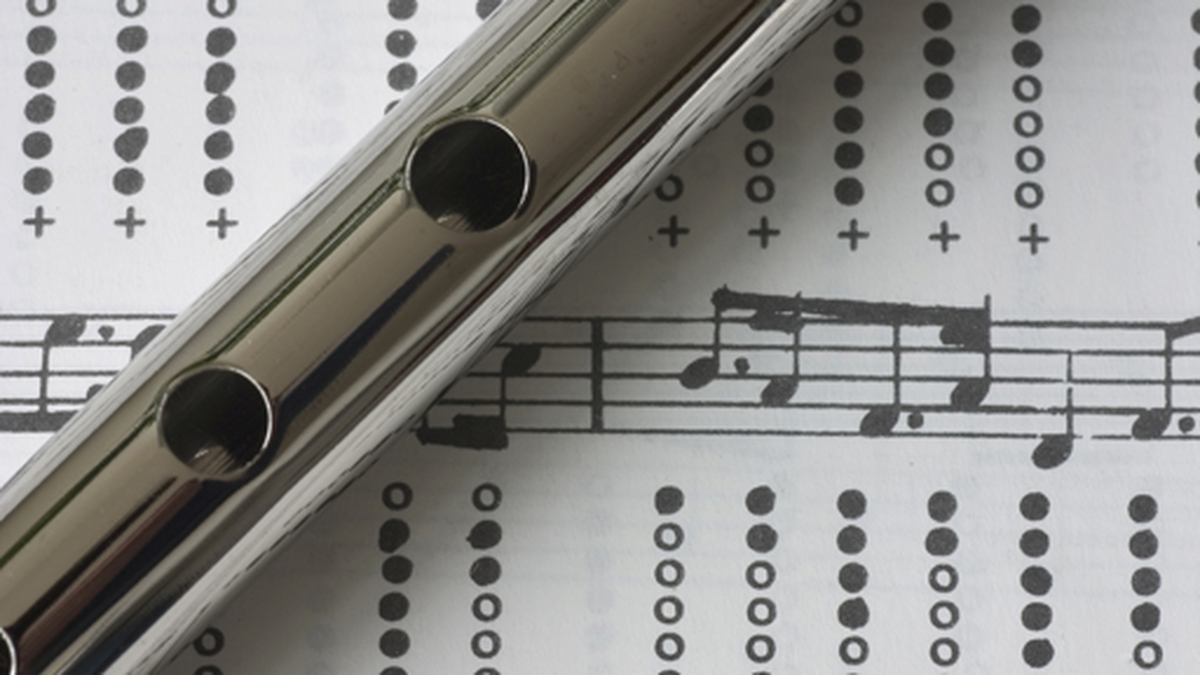 World record attempt for 'largest tin whistle ensemble' takes place in Athenry