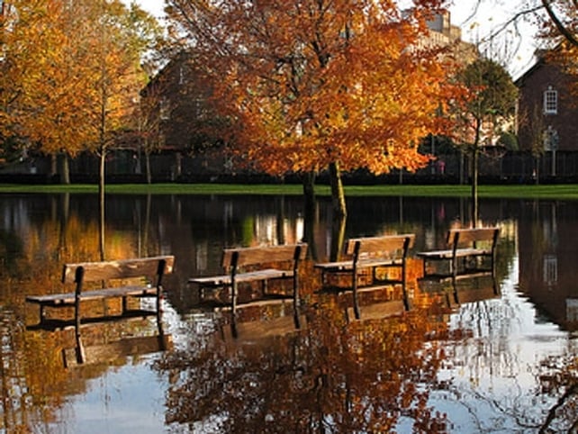 No takers for the benches in Cork city's Fitzgerald's Park - (Credit: David Hegarty)