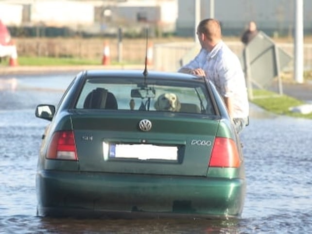 It's a dog's life - Longford - (Credit: Tiernan Dolan)