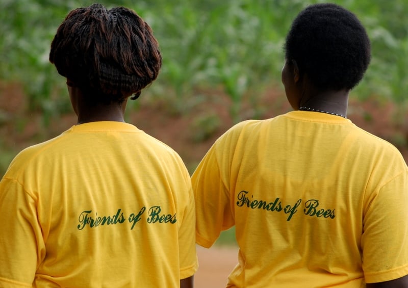 Beekeeping - Encouraging women to take up the trade