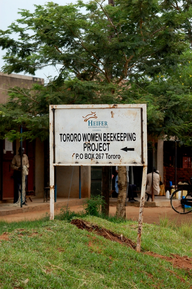 The women bring the products their bees produce to a small processing building outside the town of Tororo
