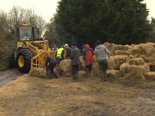 Farmers - Hay delivered to isolated farms
