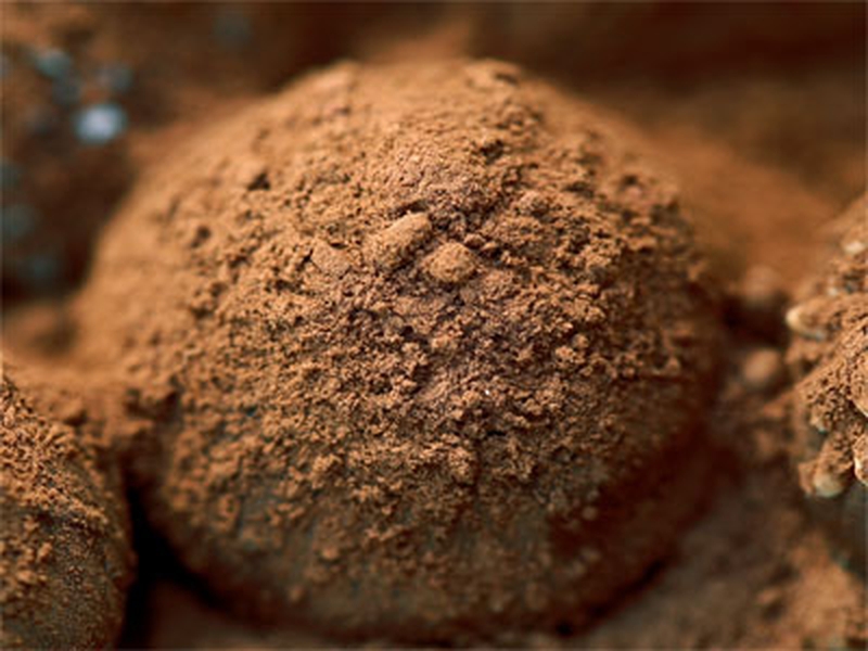 Handmade Decadent Assorted Chocolate Truffles