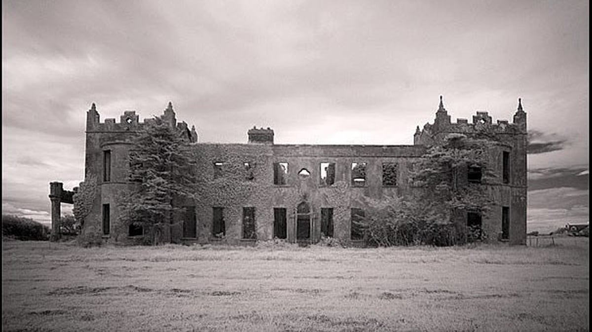 Voices from a Vanishing World