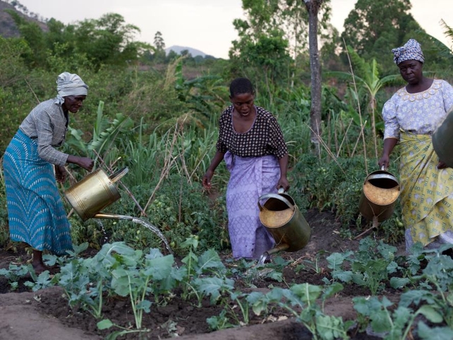 The Fruit &amp; Vegetable Garden Gift from Oxfam helps recipients grow and maintain all the necessary ingredients for a healthy diet and to generate an income. Flossie Mkwezalamba (left) Mereniya Sitolo, (centre), &amp; Mary Luka pictured.