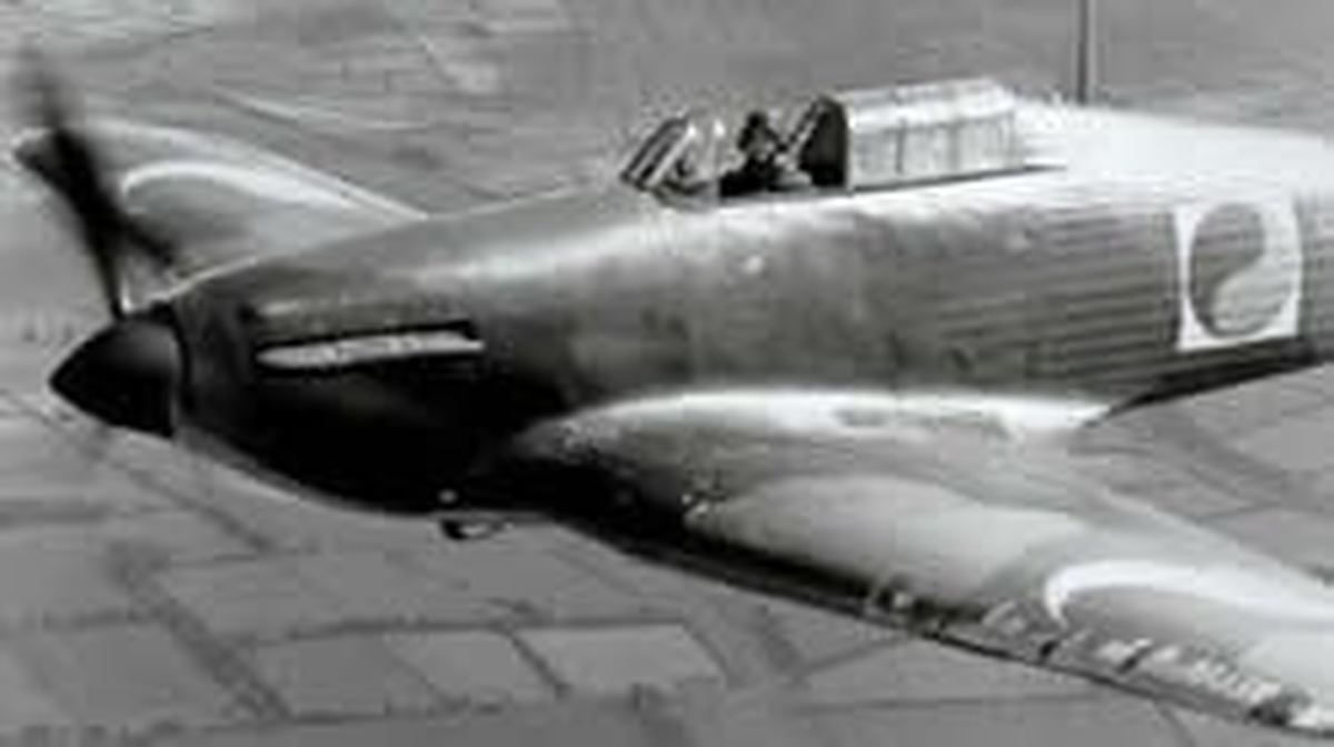 Flying for the Silver Screen