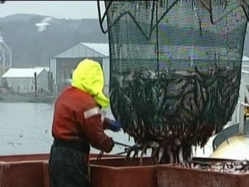 Fishing - Over-capacity