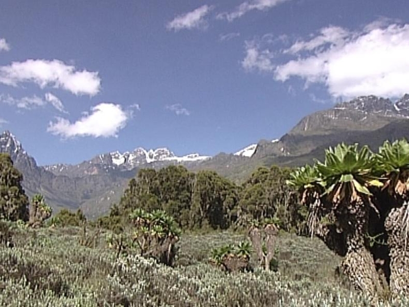 Uganda - Climate change