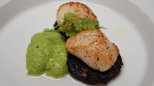 Pan Seared Scallops on Black Pudding, Mint Pea Pur
