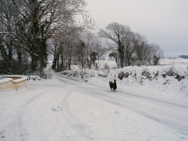 Roads - Icy conditions - (Pic: Tommy Regan)