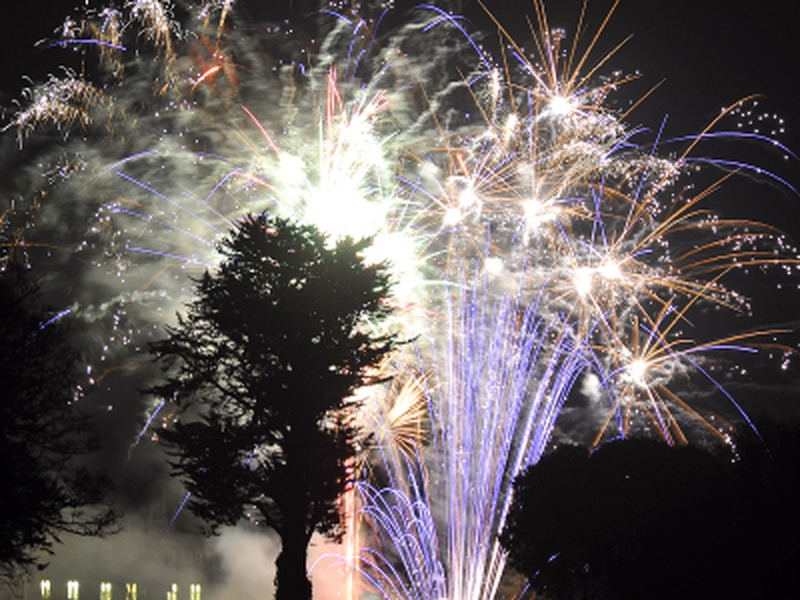 New Year - Fireworks at Dromoland Castle - (Pic: David Crimmins)