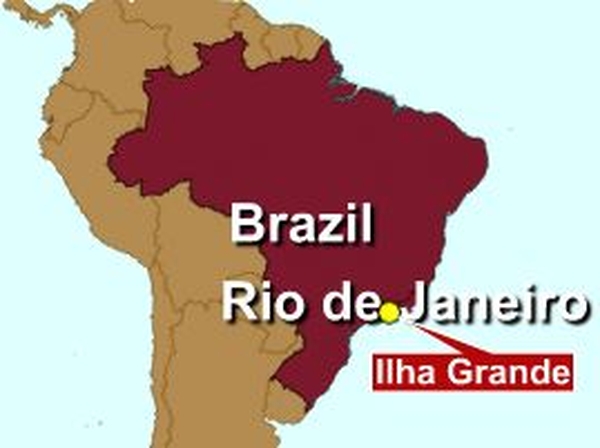 14 killed in landslides in Rio de Janeiro
