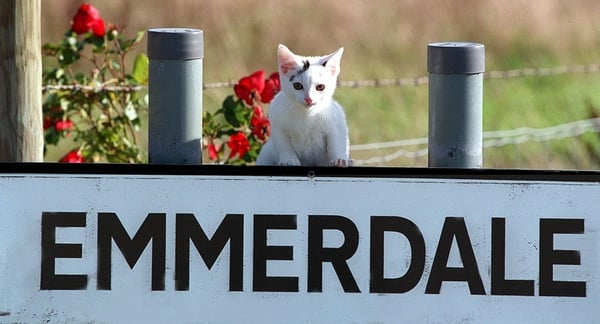 Emmerdale - Character to be murdered (NB: The cat isn't a suspect)