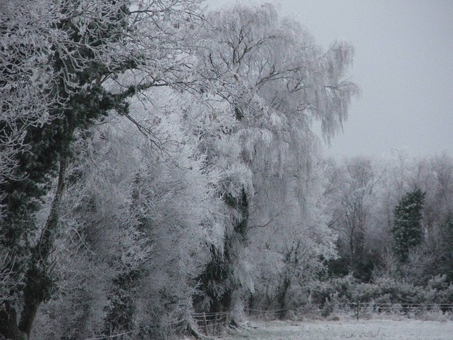 'Winter' - Pic: D Harney