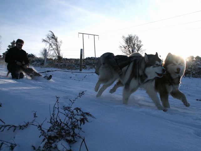 Rathmichael, Co Dublin - Andrew Sarratt