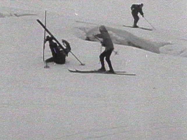 Some of them could perhaps have done with a lesson or two.