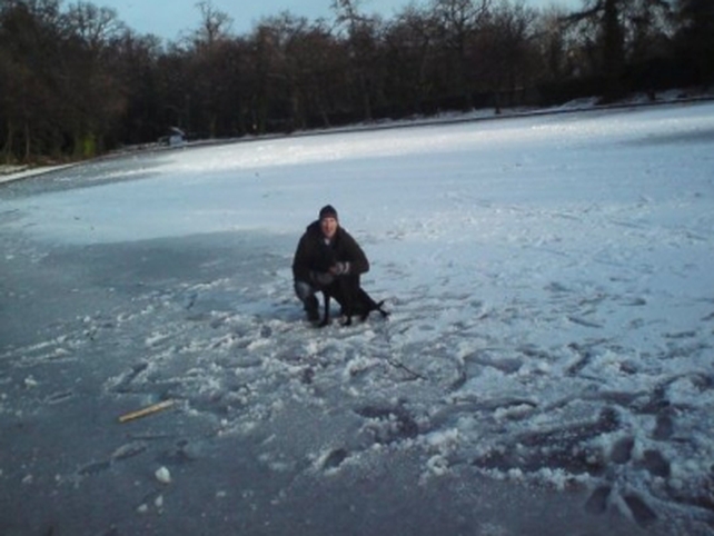 Bushy Park, Dublin - Pic: John Griffin