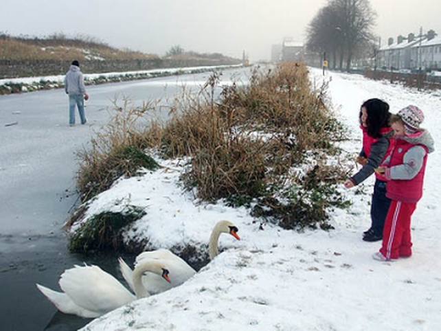 Grand Canal, Phibsboro - Pic: Gavin Hoey