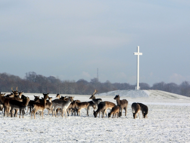 Phoenix Park - Pic: Gabriel Duggan