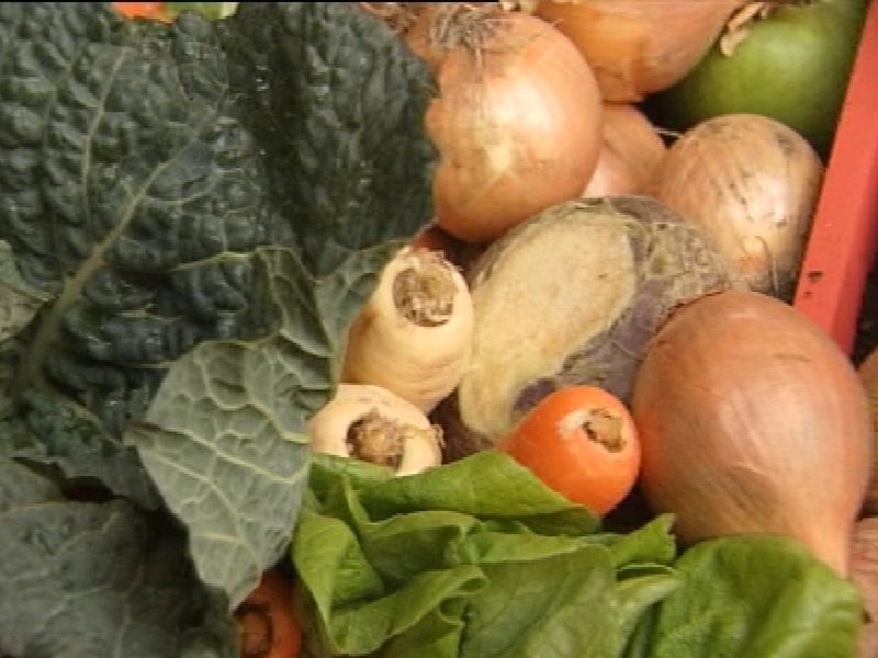 Agriculture - Surey across Europe