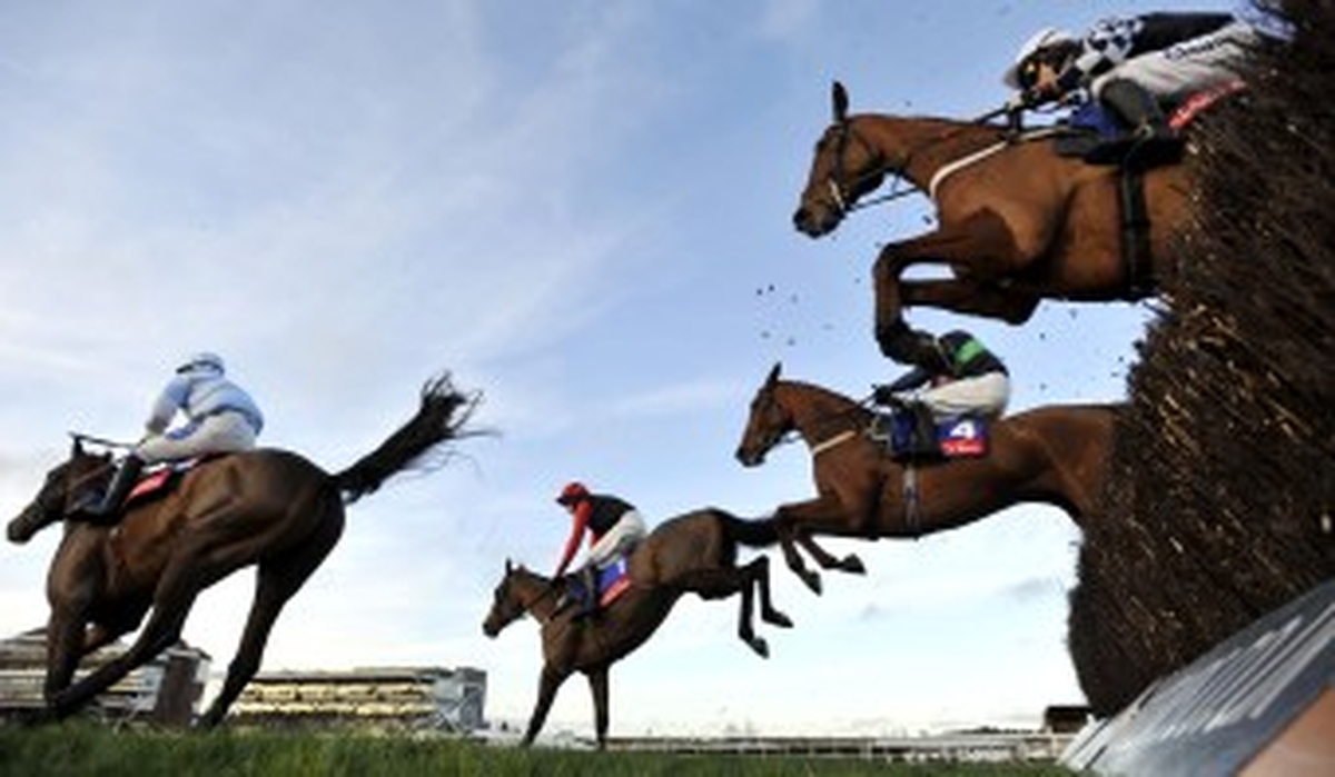 Thoroughbred Horse Racing In Ireland