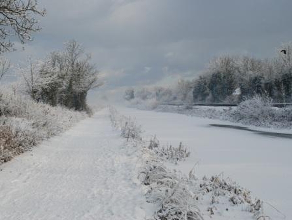 Big freeze - DCC's January trading reported to be excellent