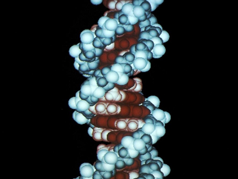 DNA - New bill published