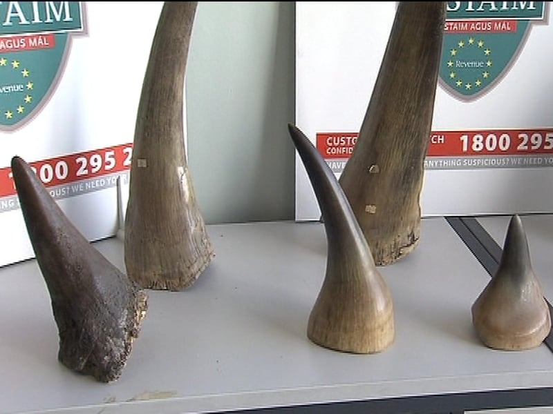 Shannon - Horns smuggled by three people
