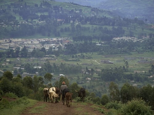 Uganda - Accusations over British colonisation