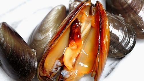 Catherine Fulvio's A Feast from the Sea