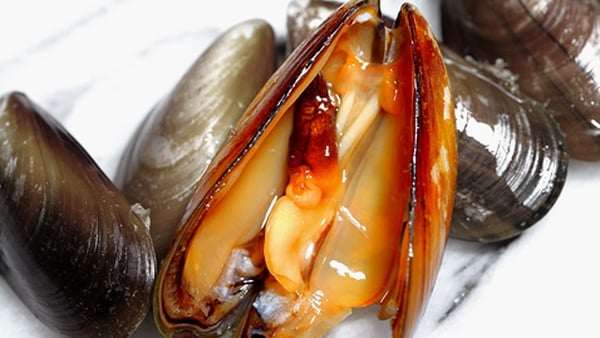 Catherine Fulvio's A Feast from the Sea