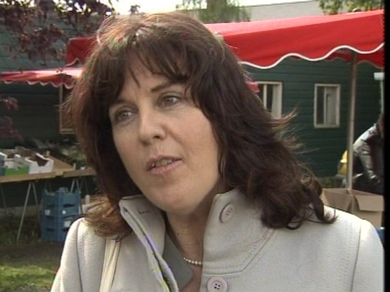 Déirdre de Búrca - Admits resignation could have consequences for party