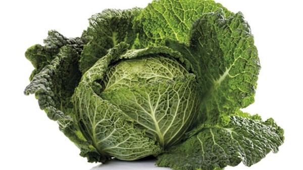 Irish Cabbage with Chestnuts