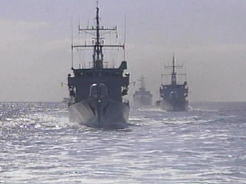 Navy - Trip criticised