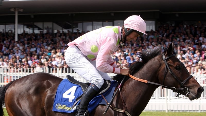 Blackstairmountain will head to Japan for the Nakayama Grand Jump