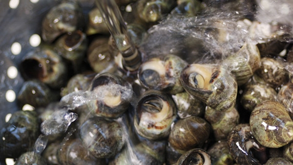 Periwinkle Butter with Wilted Samphire on Toasted