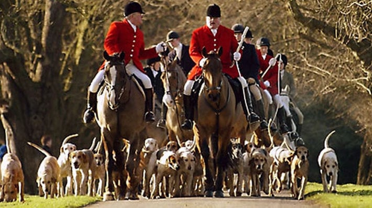 A Hunting we will go