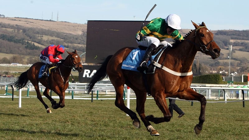 Binocular stormed up the hill to win the 2010 Cheltenham Champion Hudle