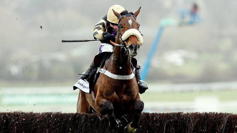 A win in the Scottish Grand National would see Tidal Bay become the oldest ever winner of the Ayr race