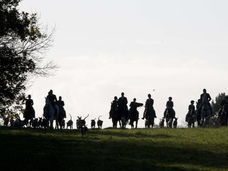 Hunting - Increase to fines