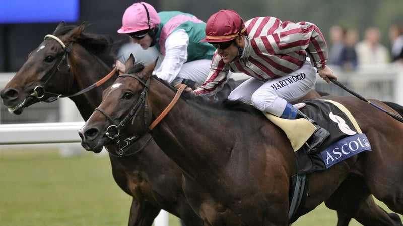 Vision D'Etat (nearest) will hope to following on from his Deaville success in August
