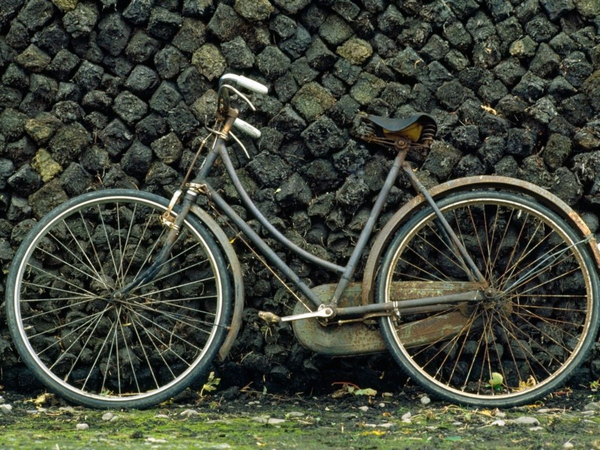 Bell, Bike and Saddle