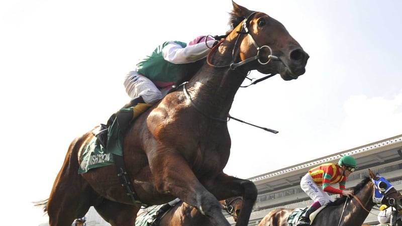 Zacinto has not been seen on the racecourse since disappointing at the Breeders' Cup