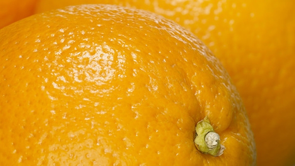 Orange Jelly Slices
