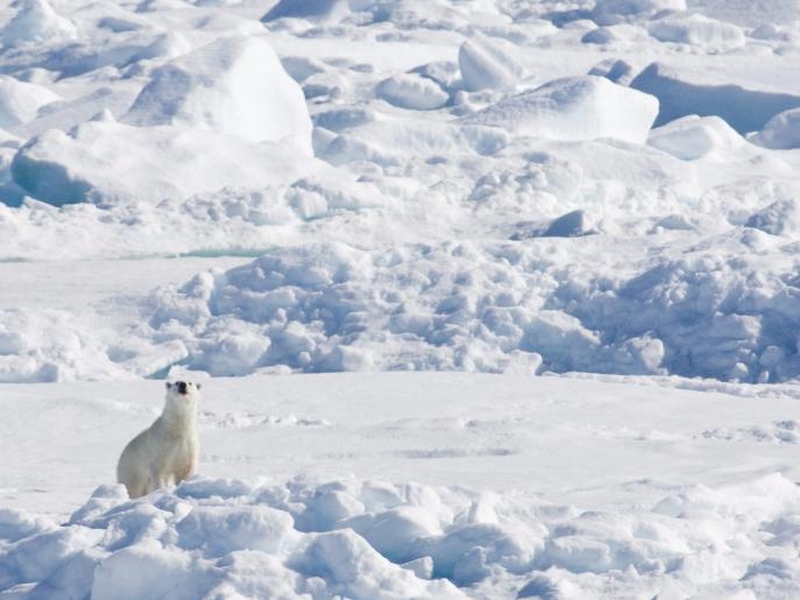 Arctic - Talks under way in Canada