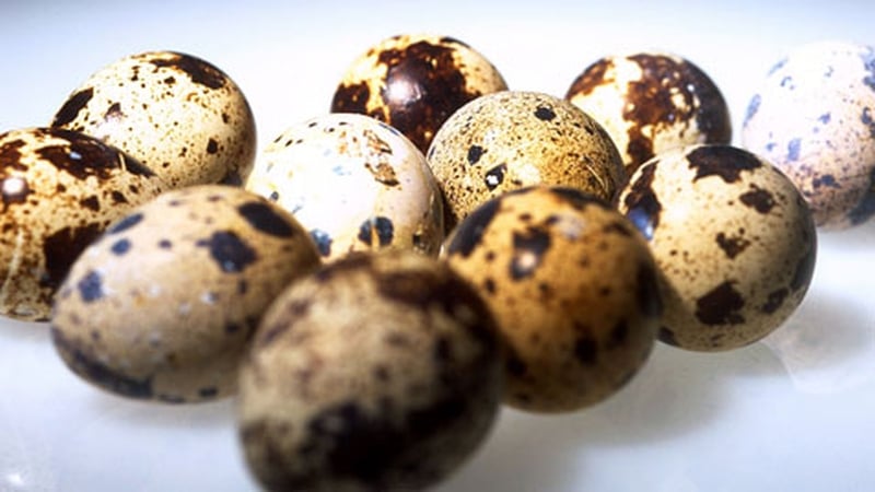 Vitello Tonnato: MasterChef