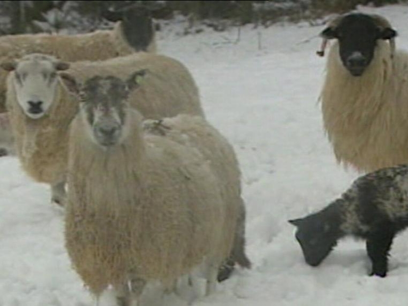 Weather - Heavy snow in parts of the country