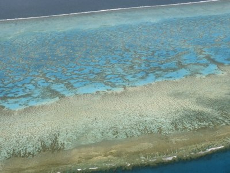 Great Barrier Reef - Chinese vessel leaking oil