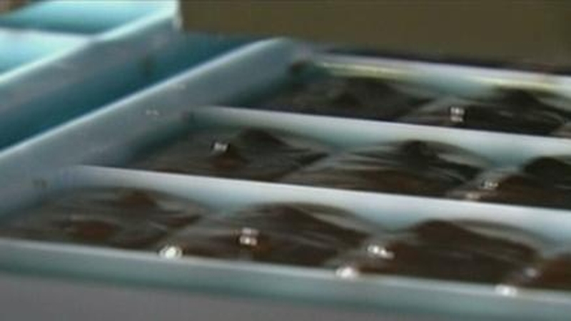 Chocolate sales - Warm weather results in slowdown