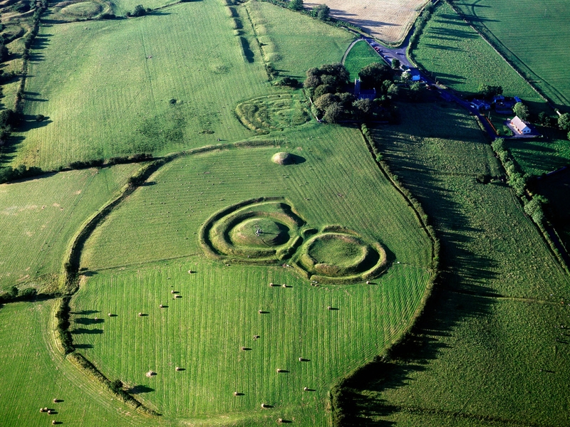 Tara - One of the seven nominees